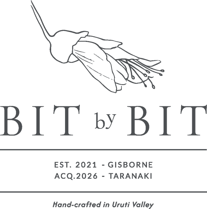 Bit by Bit
