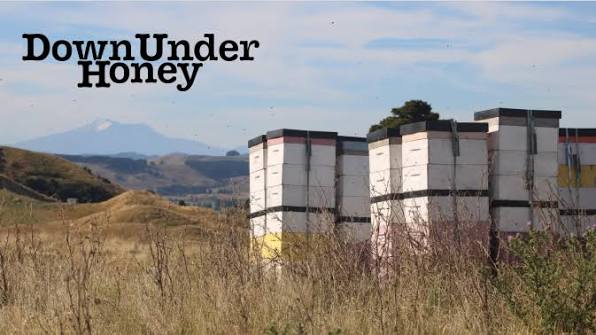 DownUnder Honey