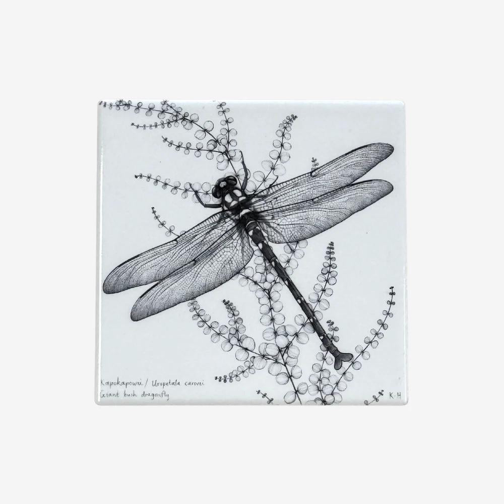 Katy Hayward | Tutukaka | Coasters - milk + honey