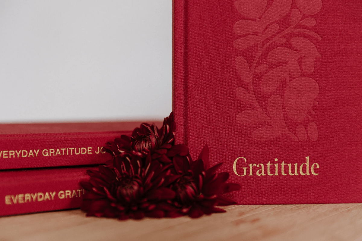 Olive + Page | 100 Days of Gratitude Journal - milk + honey