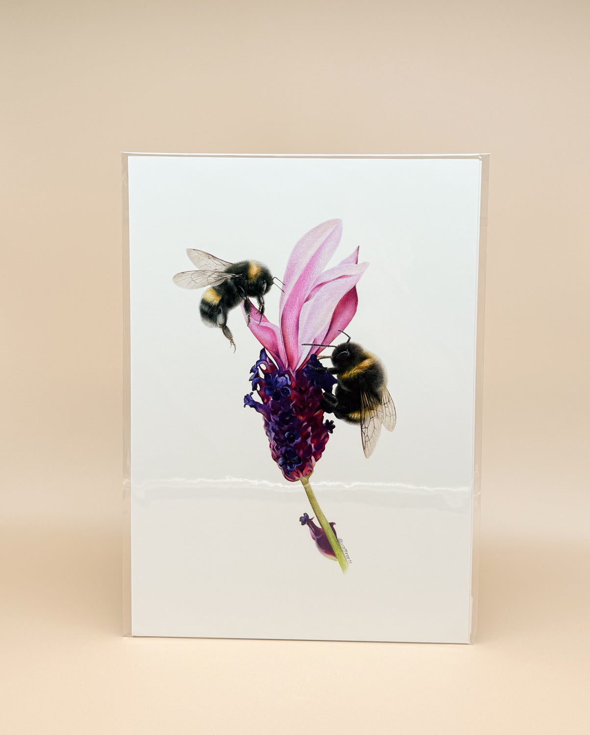 Art Print Olivia Bezett