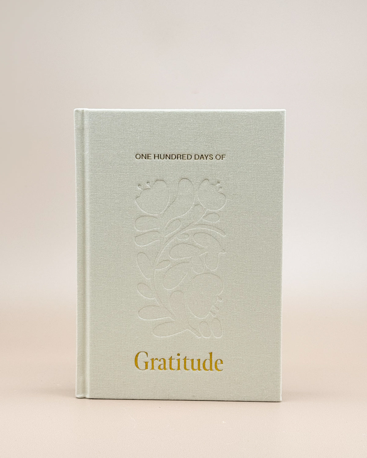 100 Days of Gratitude | Journal