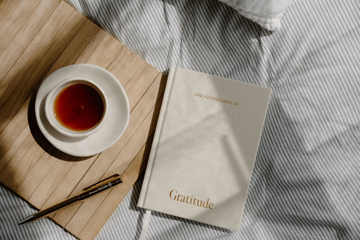 Olive + Page | 100 Days of Gratitude Journal - milk + honey