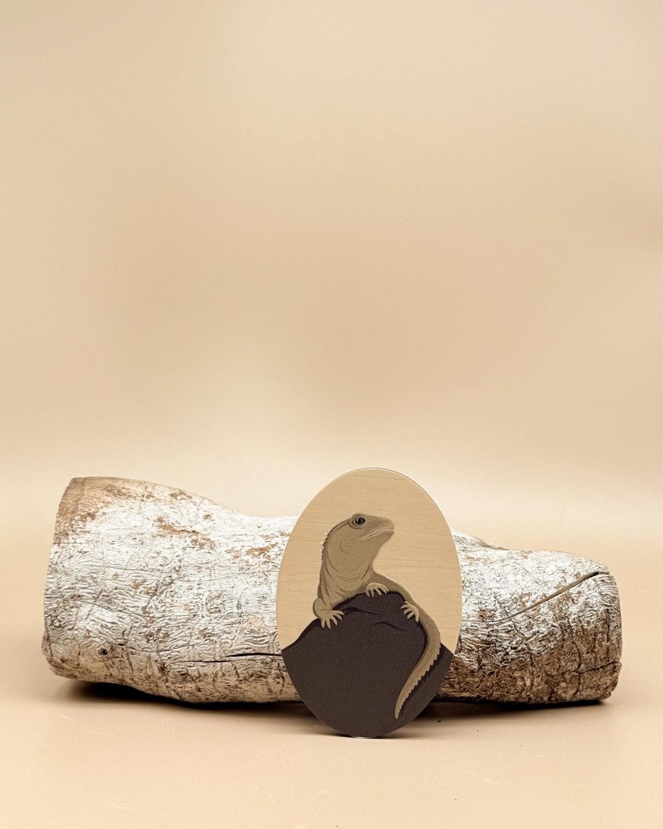 Hansby Design | Magnets - milk + honey